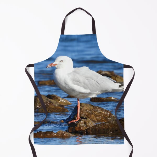 Item preview, Silver Gull, sea Gull, on beach rocks designed and sold by Mark Grimsley.