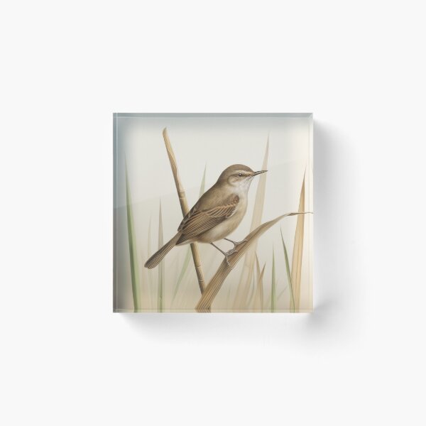 Item preview, shocking image little bird designed and sold by EdicionesJML.