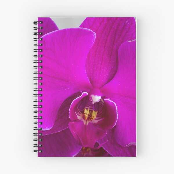Item preview, Mauve Orchid designed and sold by polyhymnia14.