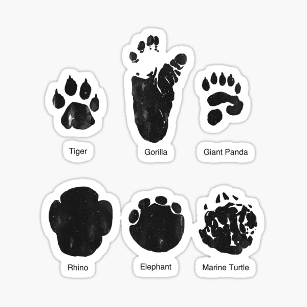 Paw Print Tracks: For Animal Lovers: Merchandise, Midwest