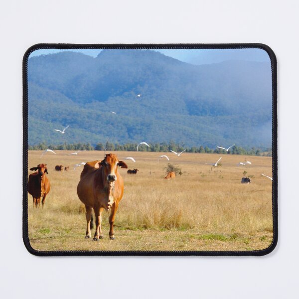 Item preview, COUNTRY SCENE, COWS, HILLS, BIRDS designed and sold by Barbara Jean Photo Art And Design.