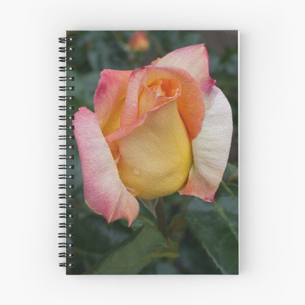 Item preview, Peace Rose designed and sold by polyhymnia14.