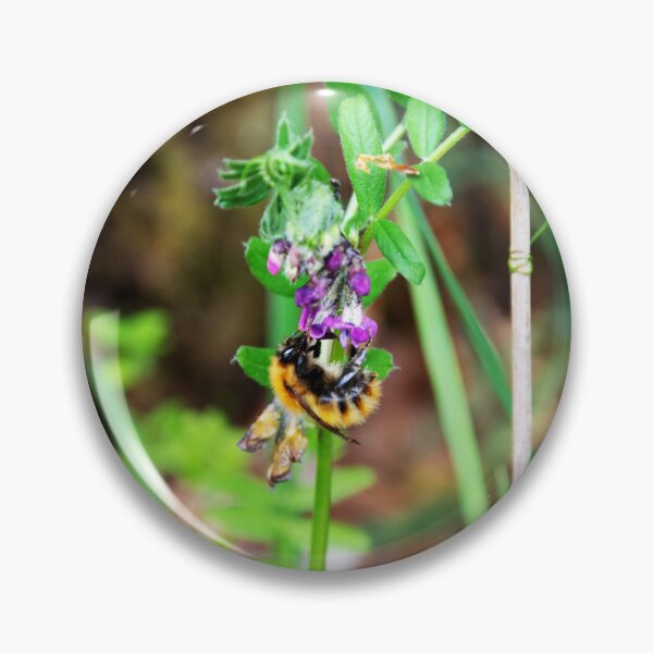 Item preview, Bee On Vetch designed and sold by Alternative Perspectives.