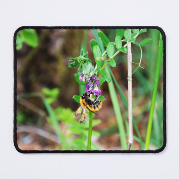 Item preview, Bee On Vetch designed and sold by Alternative Perspectives.
