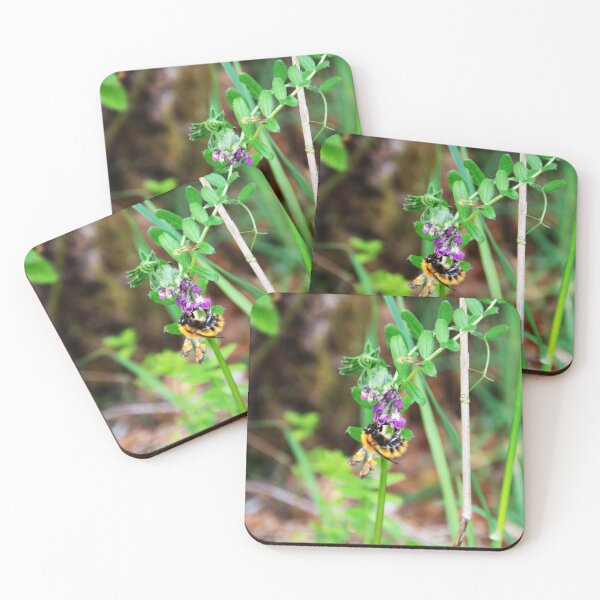 Item preview, Bee On Vetch designed and sold by Alternative Perspectives.
