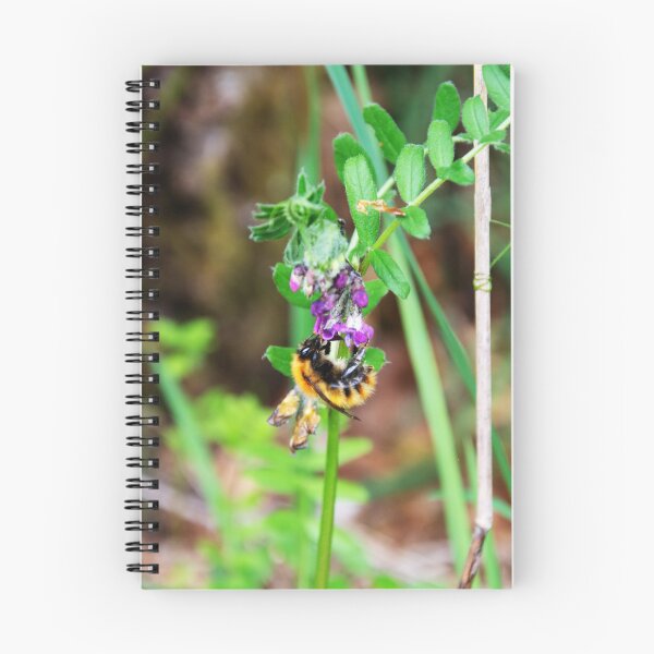 Item preview, Bee On Vetch designed and sold by Alternative Perspectives.