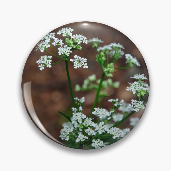 Item preview, Cow Parsley designed and sold by Alternative Perspectives.
