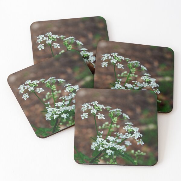 Item preview, Cow Parsley designed and sold by Alternative Perspectives.