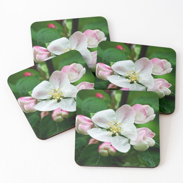 Item preview, Crab Apple designed and sold by Alternative Perspectives.