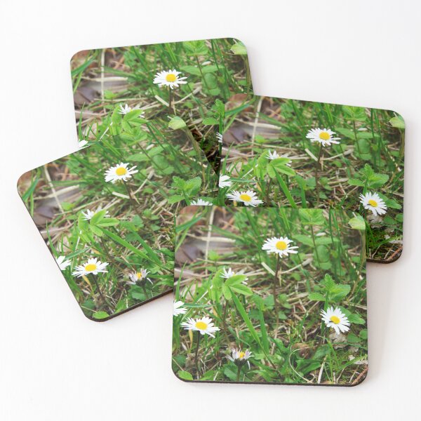 Item preview, Daisy designed and sold by Alternative Perspectives.