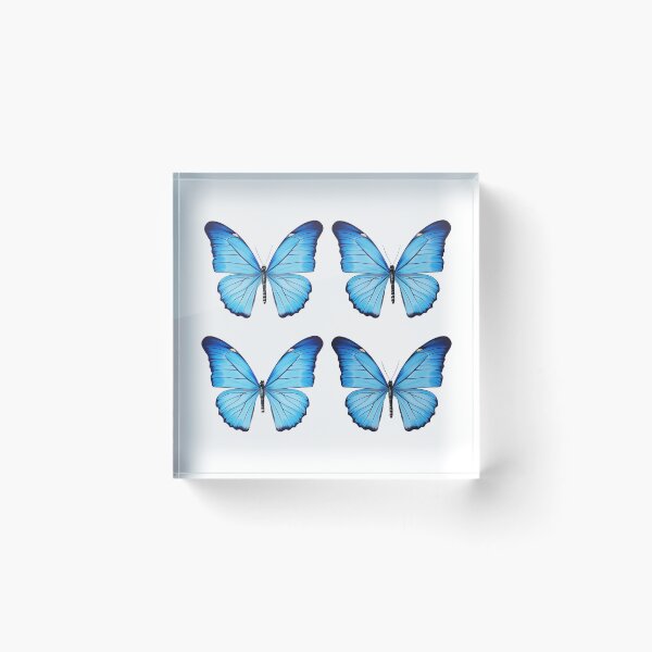 Item preview, African Blue Pansy Butterflies Junonia Orithya Collection 001 designed and sold by PlanetArchive.