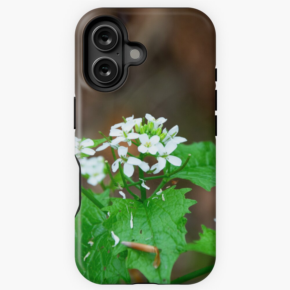 Item preview, iPhone Magsafe Tough Case designed and sold by SiobhanFraser.