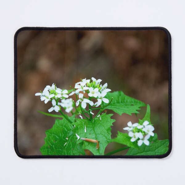 Garlic Mustard Mouse Pad