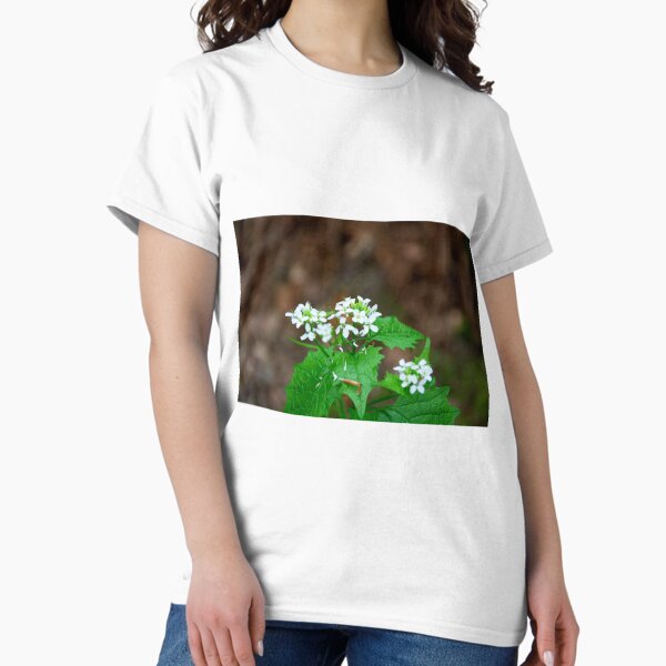 Garlic Mustard Classic T-Shirt