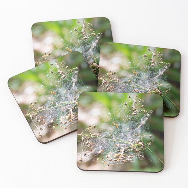 Item preview, Cobweb on a Great Wood Rush designed and sold by Alternative Perspectives.