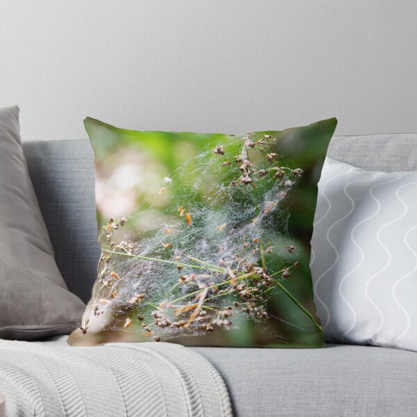 Item preview, Cobweb on a Great Wood Rush designed and sold by Alternative Perspectives.