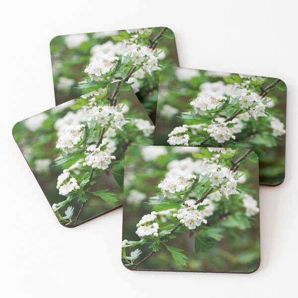 Item preview, Hawthorn in Flower designed and sold by Alternative Perspectives.