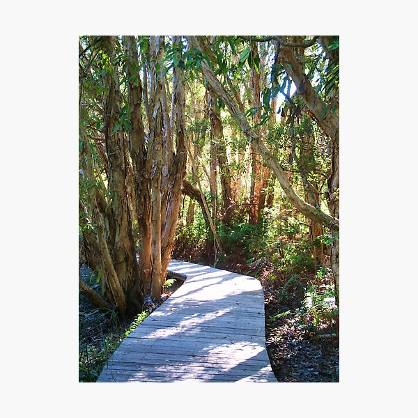 Item preview, Shadowed Boardwalk designed and sold by Jenelle  Irvine.