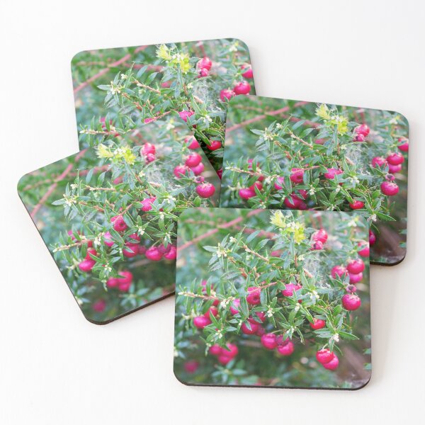 Item preview, Prickly Heath designed and sold by Alternative Perspectives.