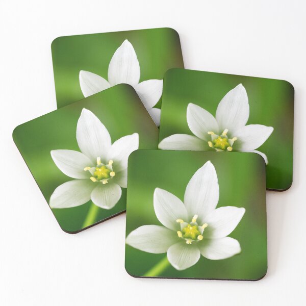 Star of Bethlehem Coasters (Set of 4)