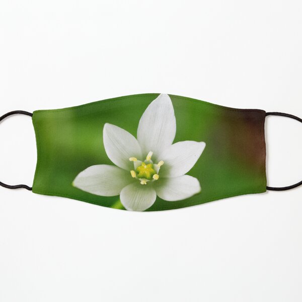 Star of Bethlehem Kids Mask