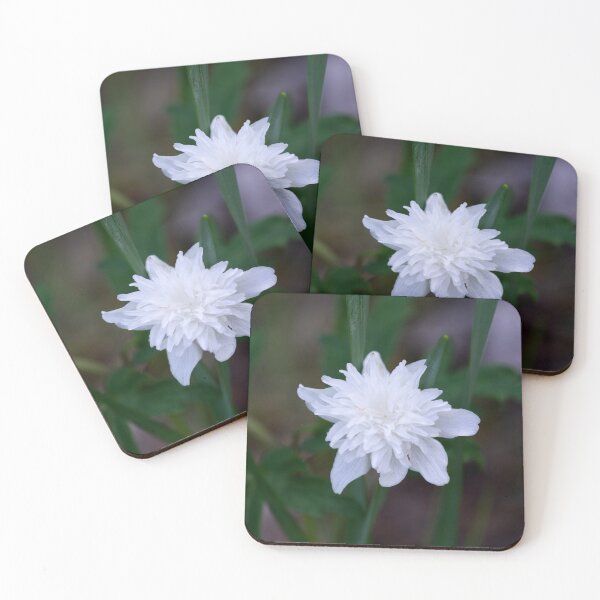 Item preview, Wood Anemone designed and sold by Alternative Perspectives.
