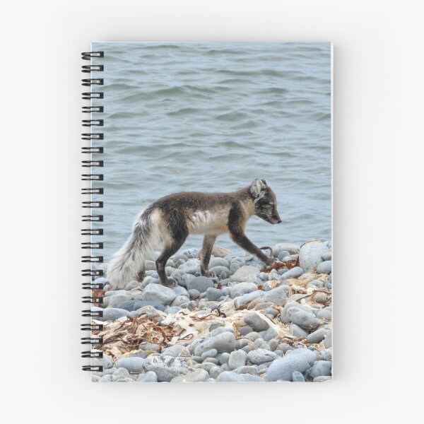 Item preview, Arctic fox designed and sold by HazelWright.