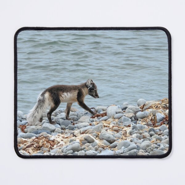 Item preview, Arctic fox designed and sold by HazelWright.