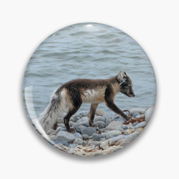 Item preview, Arctic fox designed and sold by HazelWright.