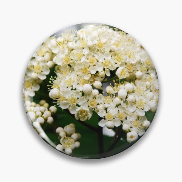 Item preview, Rowan Flowers designed and sold by Alternative Perspectives.