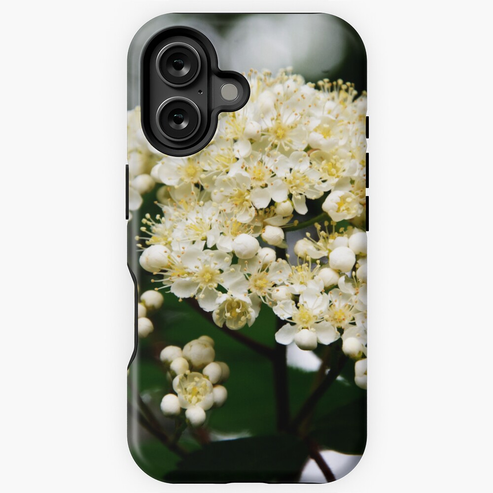 Item preview, iPhone Magsafe Tough Case designed and sold by SiobhanFraser.