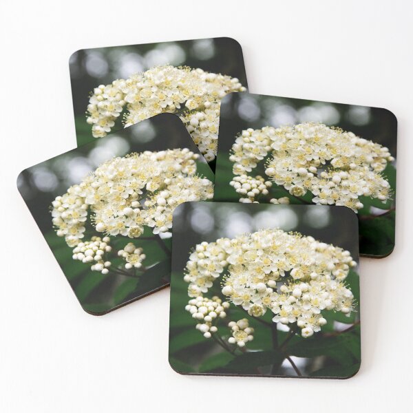 Item preview, Rowan Flowers designed and sold by Alternative Perspectives.