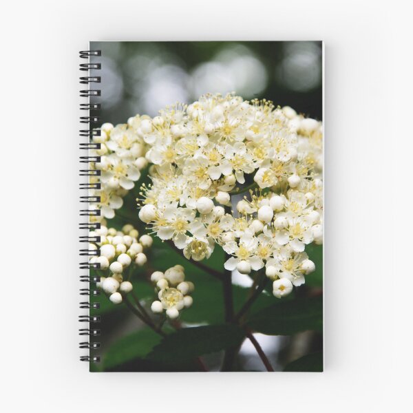 Item preview, Rowan Flowers designed and sold by Alternative Perspectives.