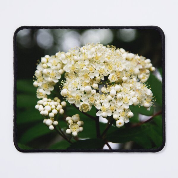 Item preview, Rowan Flowers designed and sold by Alternative Perspectives.