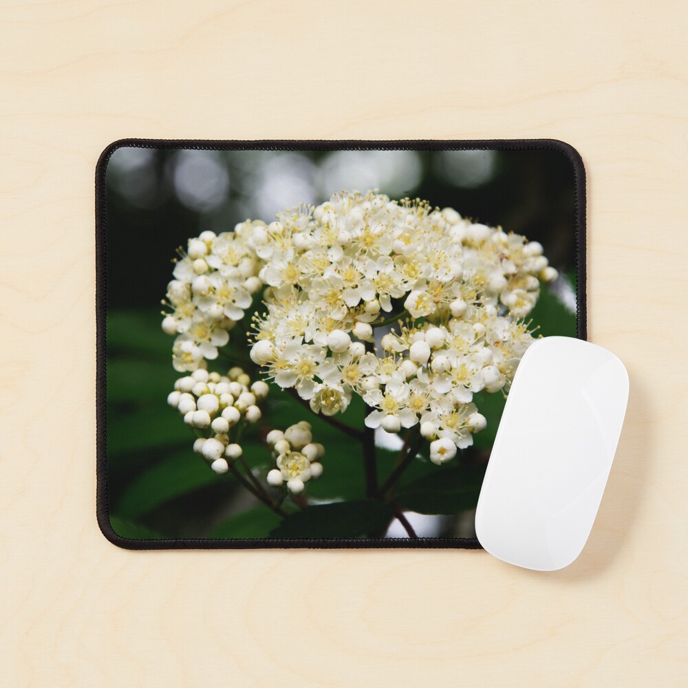 Item preview, Mouse Pad designed and sold by SiobhanFraser.