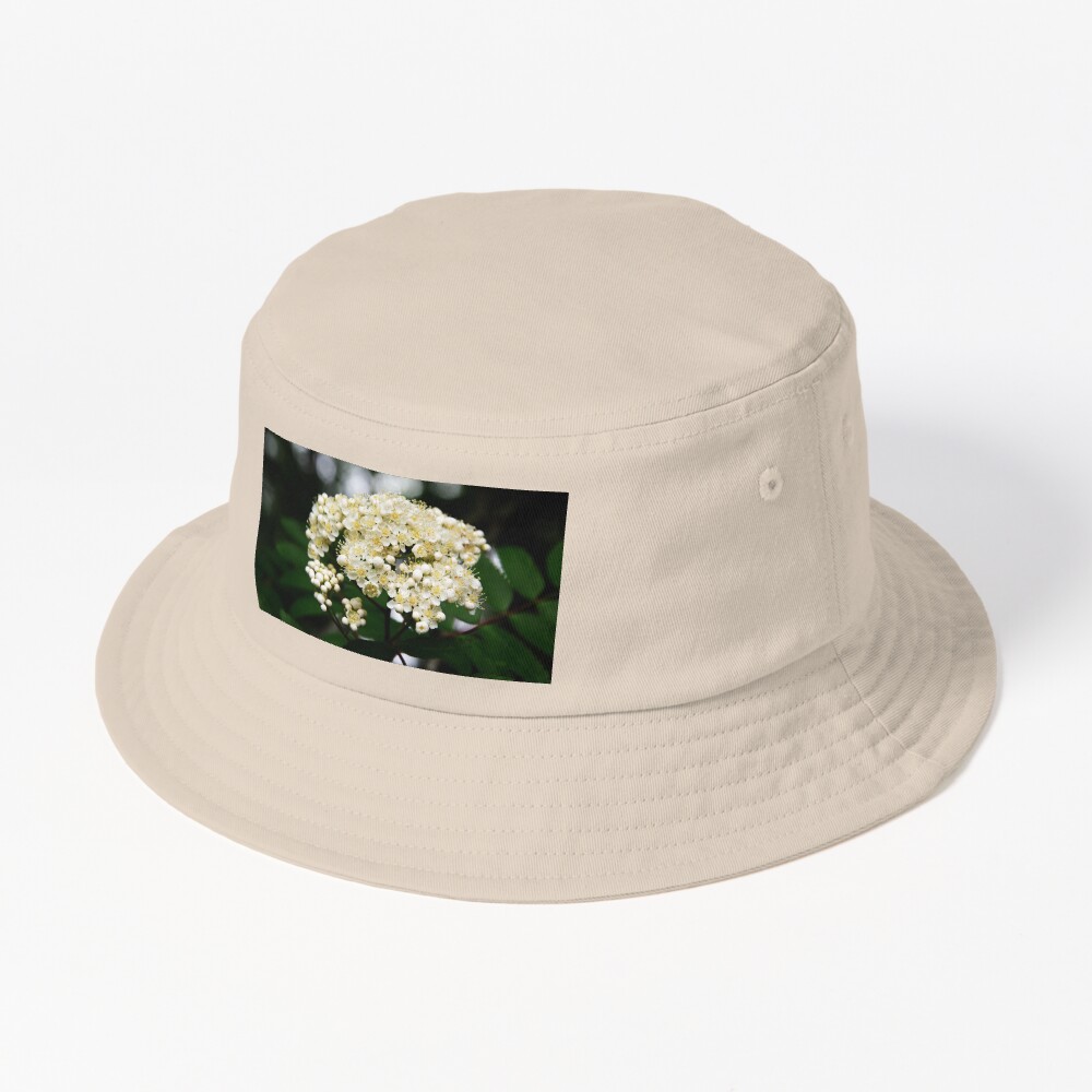 Item preview, Bucket Hat designed and sold by SiobhanFraser.