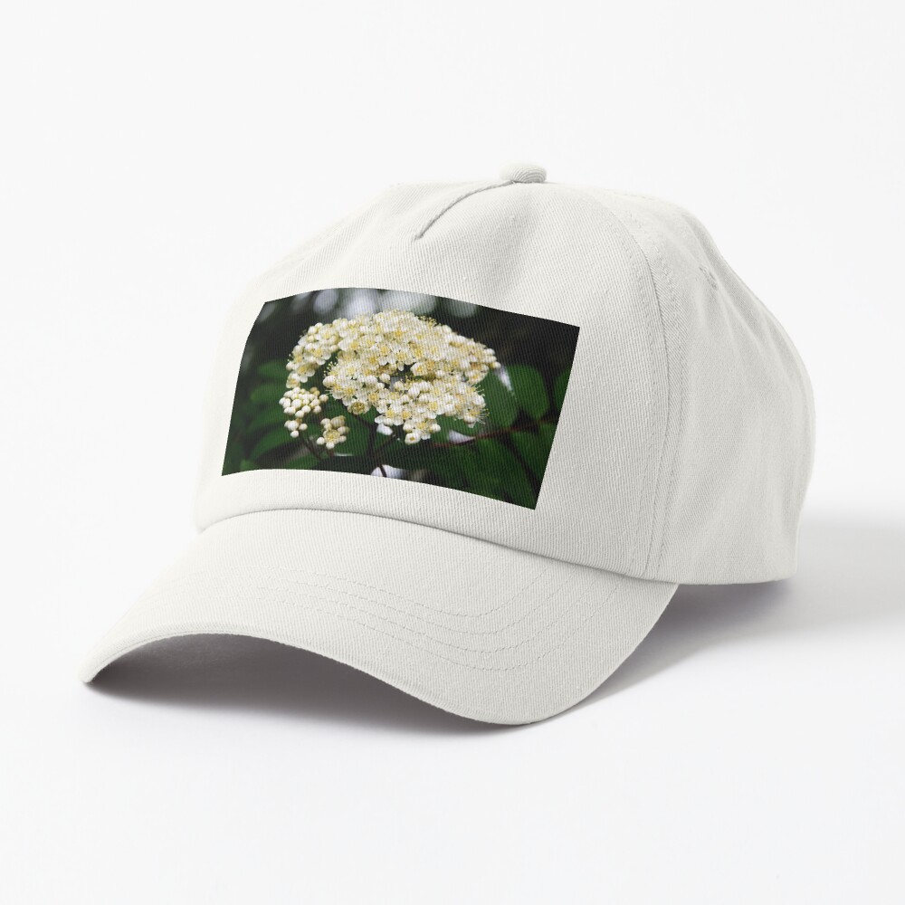 Item preview, Dad Hat designed and sold by SiobhanFraser.