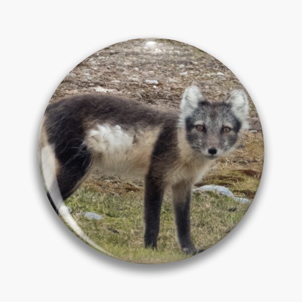 Item preview, Arctic Fox designed and sold by HazelWright.