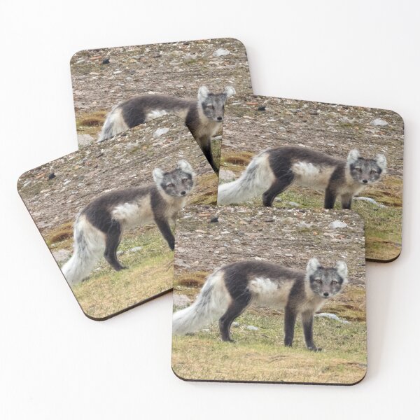 Item preview, Arctic Fox designed and sold by HazelWright.