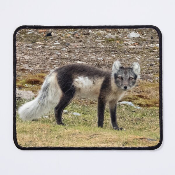 Item preview, Arctic Fox designed and sold by HazelWright.