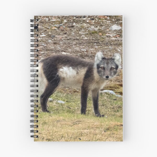 Item preview, Arctic Fox designed and sold by HazelWright.