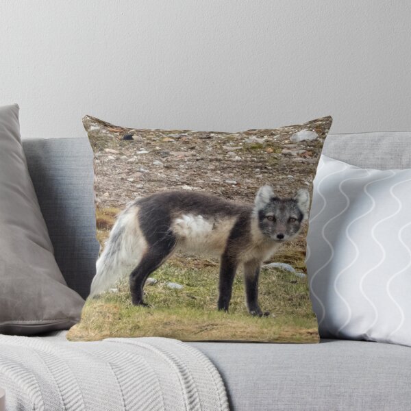 Artikelvorschau, Polarfuchs entworfen und verkauft von HazelWright.