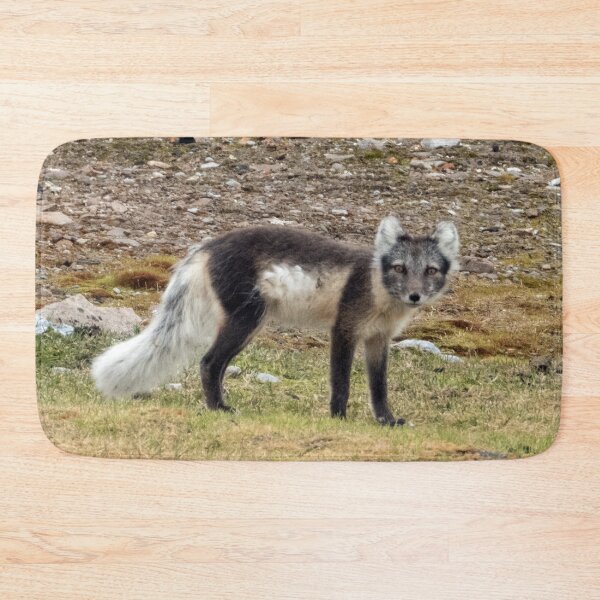 Item preview, Arctic Fox designed and sold by HazelWright.