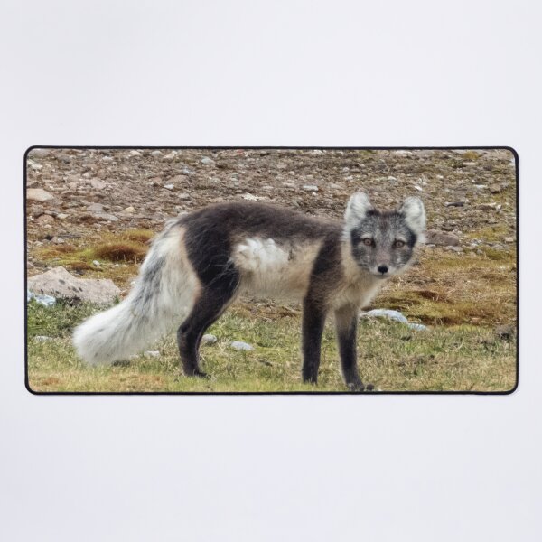 Item preview, Arctic Fox designed and sold by HazelWright.