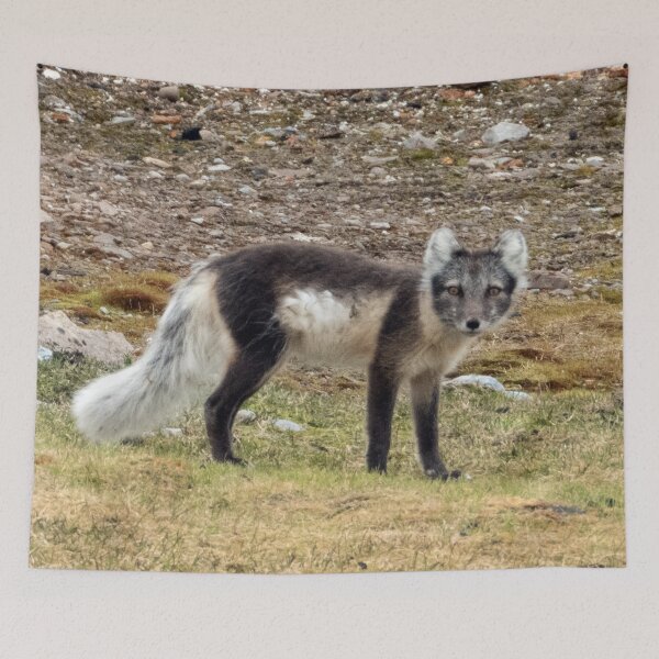 Item preview, Arctic Fox designed and sold by HazelWright.
