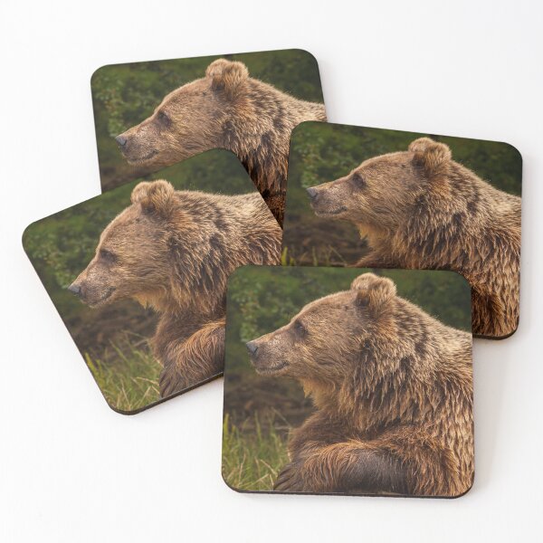 Item preview, Portrait of content brown bear resting on a log designed and sold by bailey-cooper.