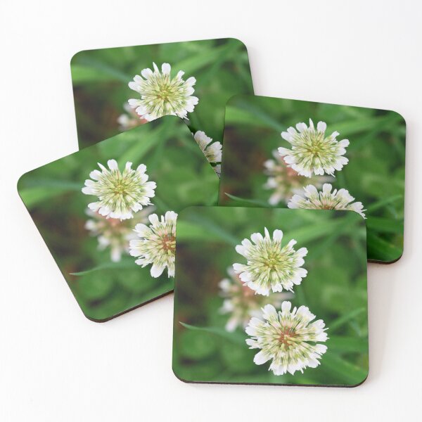 Item preview, White Clover designed and sold by Alternative Perspectives.