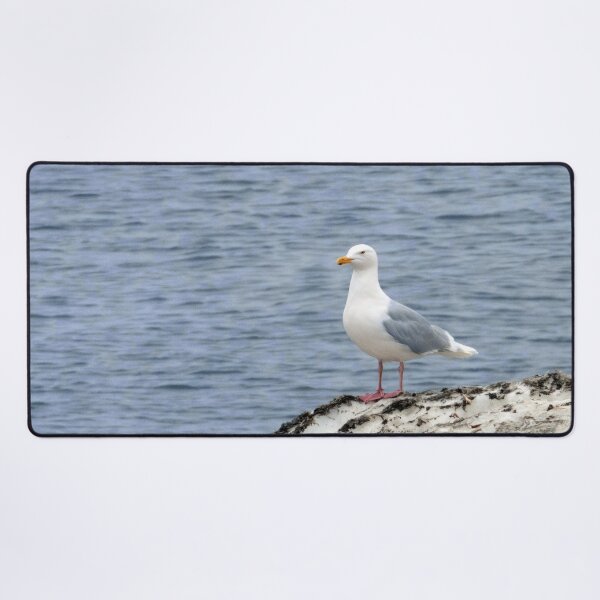 Item preview, Glaucous gull designed and sold by HazelWright.
