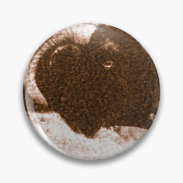 Item preview, Textured image of a sheep's black head in a compact herd. designed and sold by bailey-cooper.