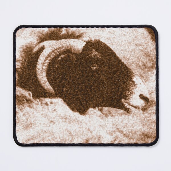 Item preview, Textured image of a sheep's black head in a compact herd. designed and sold by bailey-cooper.